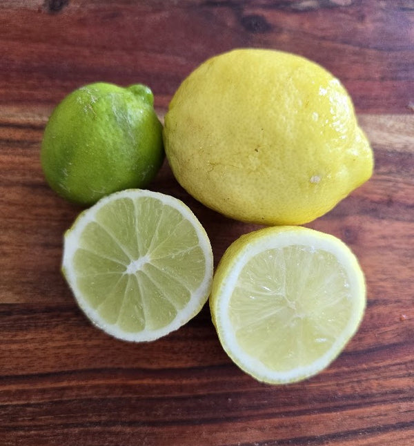 Sublime Lime Tree