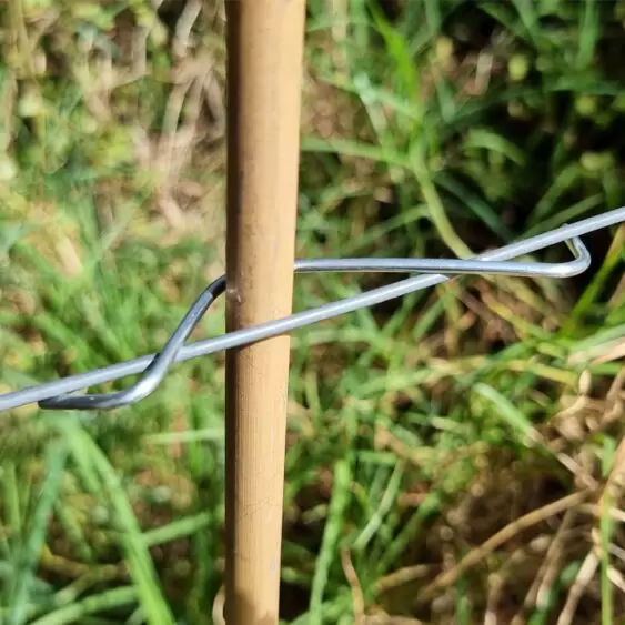 Wire Stake Clips – Simple, Sturdy, and Great for Espaliering