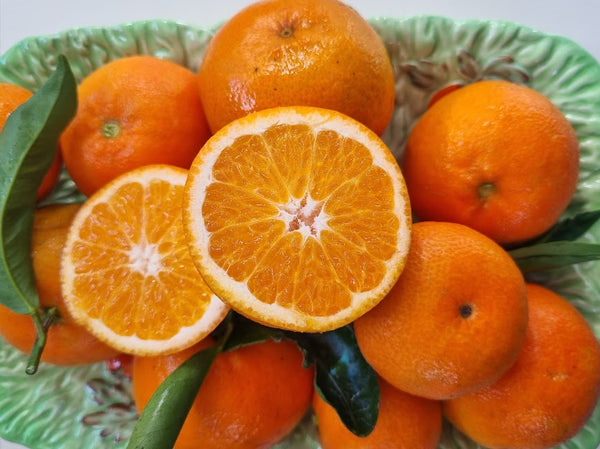 Corsica No.2 Mandarin Trees