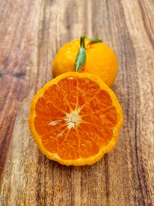 Richards Special Mandarin Tree