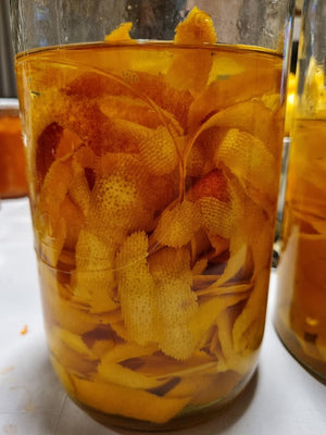 How to Make Limoncello at Home- A taste of Italy from your own citrus grove