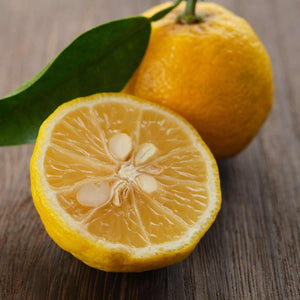 How to Use Yuzu- A Versatile Citrus Fruit becoming more popular in NZ