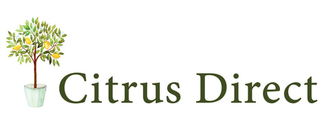Citrus Direct