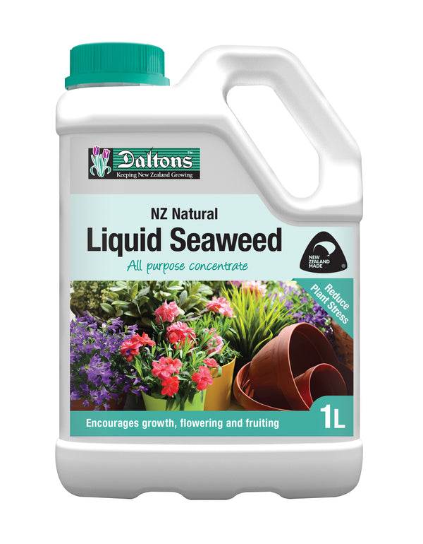 Daltons NZ Natural Liquid Seaweed – A Boost from Nature Itself
