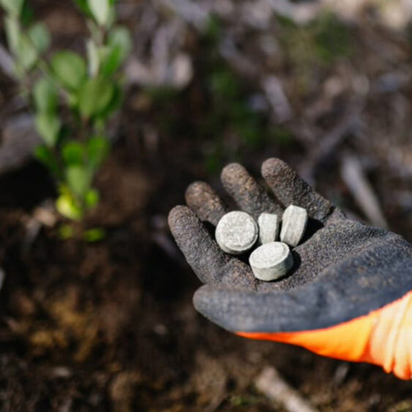 The Gardener Latex  Glove – Tough, Comfy, and Trusted by Our Team