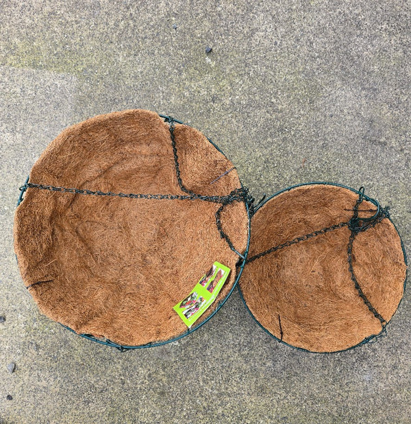 Hanging Wire Basket with a 100% Biodegradable Coir Liner