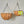 Hanging Wire Basket with a 100% Biodegradable Coir Liner