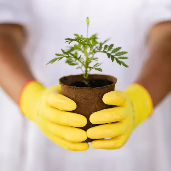 All-Purpose Gardening Gloves – Flexible, Reliable, Everyday Favourites