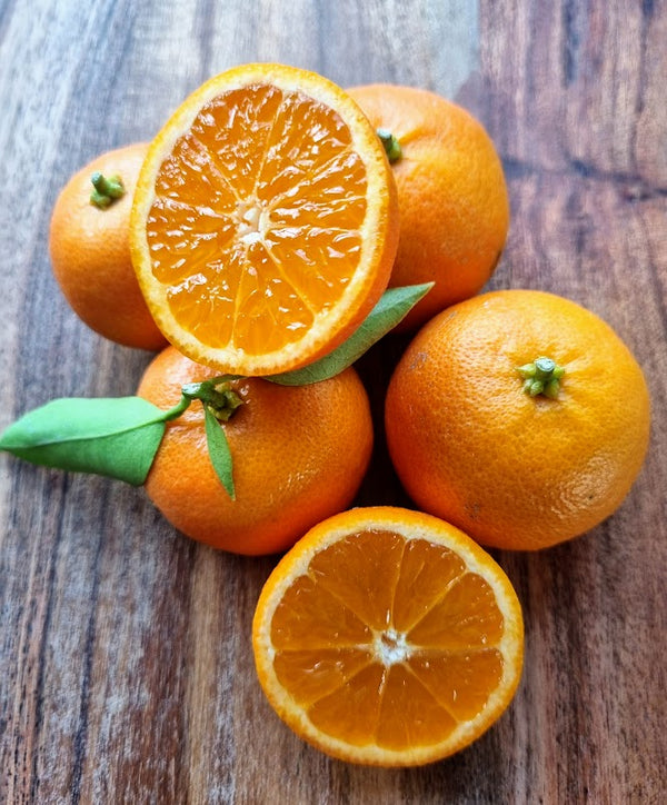 Afourer Mandarin Tree – Sweet, Juicy, and Easy to Love