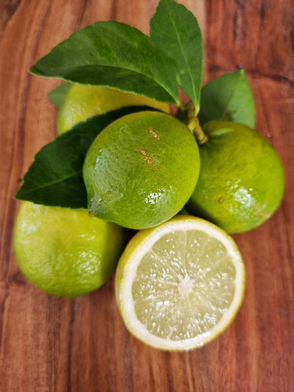 Bearss Lime Tree