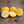 Bergamot Sour Orange Tree