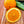 Best's Seedless Orange Tree