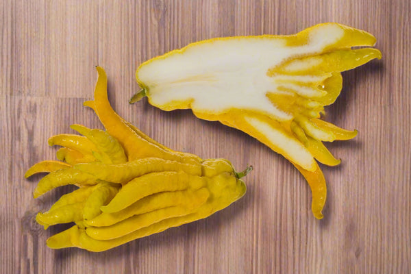 Buddha’s Hand Tree (Fingered Citron)