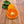 Burgess Scarlet Mandarin Tree – Vibrant Colour, Juicy Sweetness, and Container-Friendly Charm