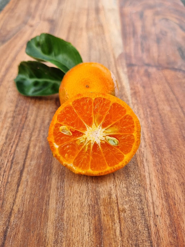Burgess Scarlet Mandarin Tree – Vibrant Colour, Juicy Sweetness, and Container-Friendly Charm