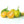 Calamansi Tree (Calamondin Tree)