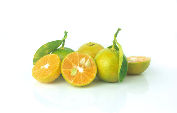 Calamansi Tree (Calamondin Tree)