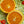 Carters Navel Orange Tree