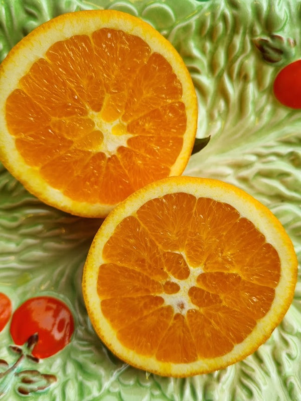 Carters Navel Orange Tree