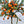 Chinotto Tree (Myrtle-Leaved Orange Tree)