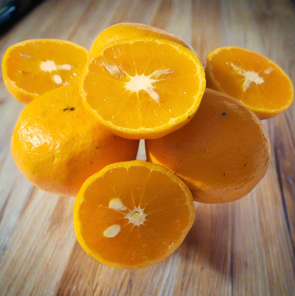 Encore Mandarin Tree