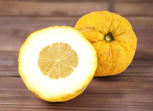 Etrog Tree (Yellow Citron Tree)