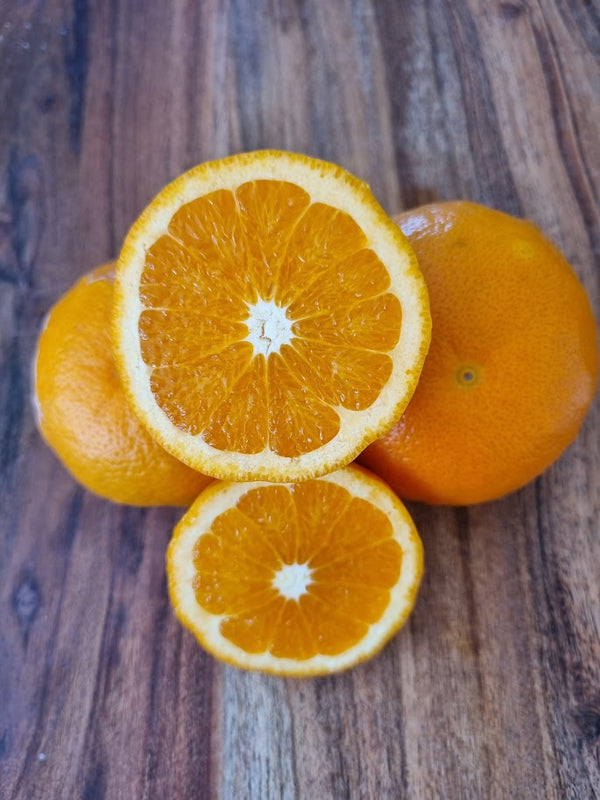 Fukumoto Navel Orange Tree