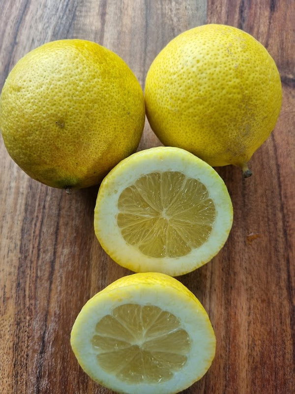 Genoa Lemon Tree