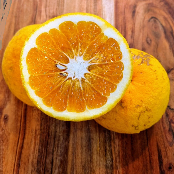 Golden Special Grapefruit Tree