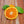 Kawano Satsuma Mandarin Tree