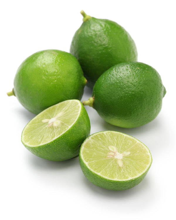 Key Lime Tree (Mexican Lime Tree)