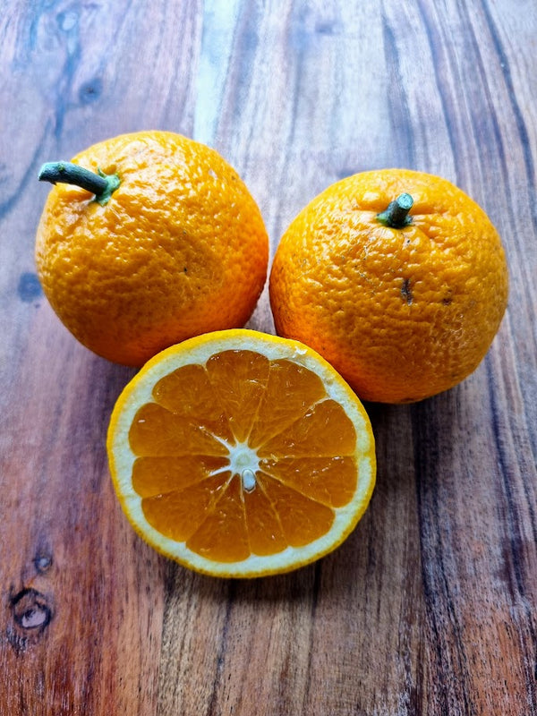 Kiyomi Tangor Orange  x Satsuma Mandarin. Sweet & Juicy