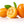 Kumquat Nagami Tree