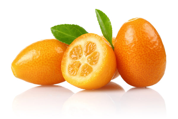 Kumquat Nagami Tree