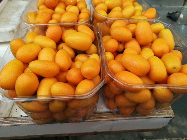Kumquat Nagami Tree