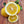 Lemonade Lemon Tree