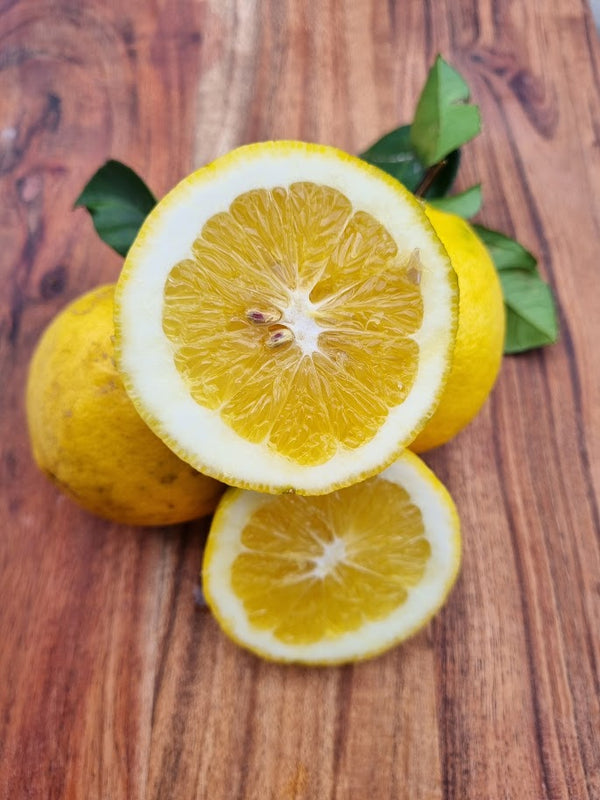 Lemonade Lemon Tree