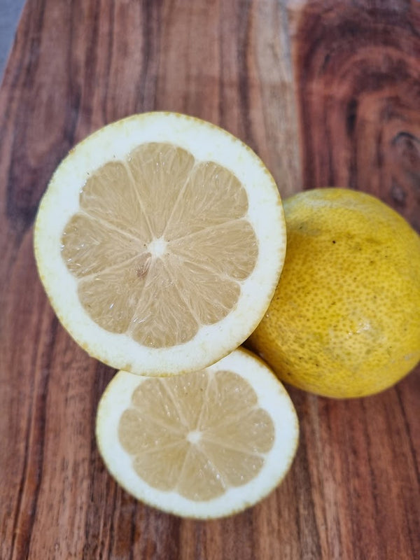 Lisbon Lemon Tree