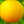 Lue Gim Gong  Orange Tree (Valencia)