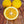 Meyer Lemon Tree