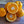 Miho Satsuma Mandarin Tree
