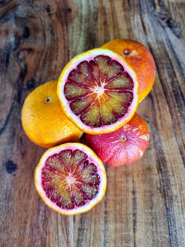 Moro Blood Orange Tree (Valencia)