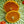 Newhall Navel Orange Tree