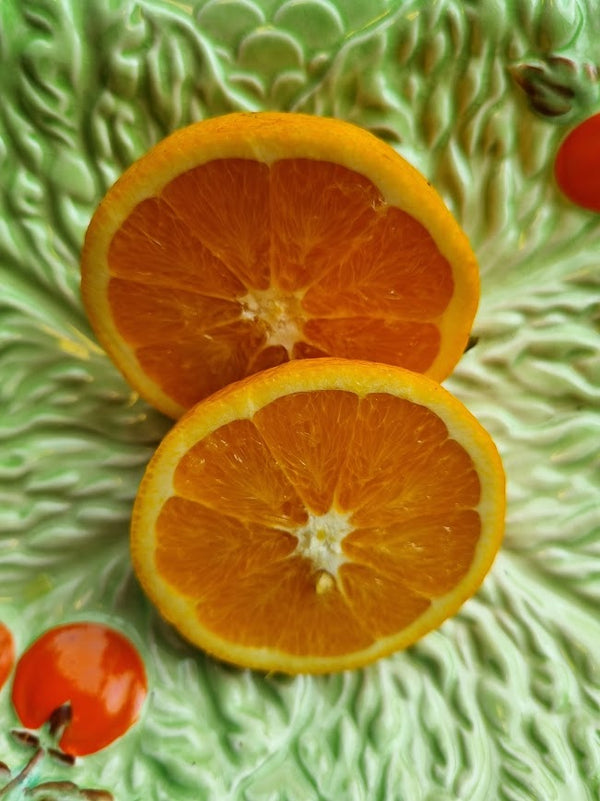 Newhall Navel Orange Tree