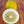 Ponderosa Lemon Tree – Big Fruit, Bold Flavour, Easy Care