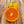 Richards Special Mandarin Tree
