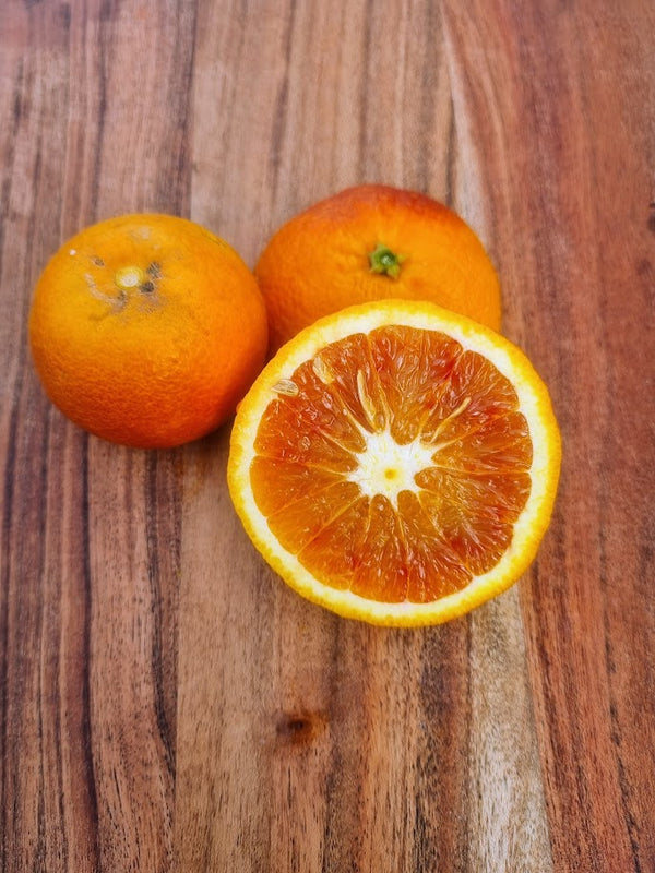 Sanguinello Blood Orange Tree