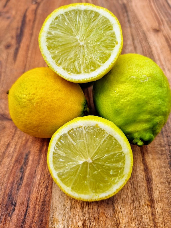 Tahitian Lime Tree