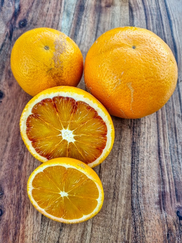 Tarocco Blood Orange Tree