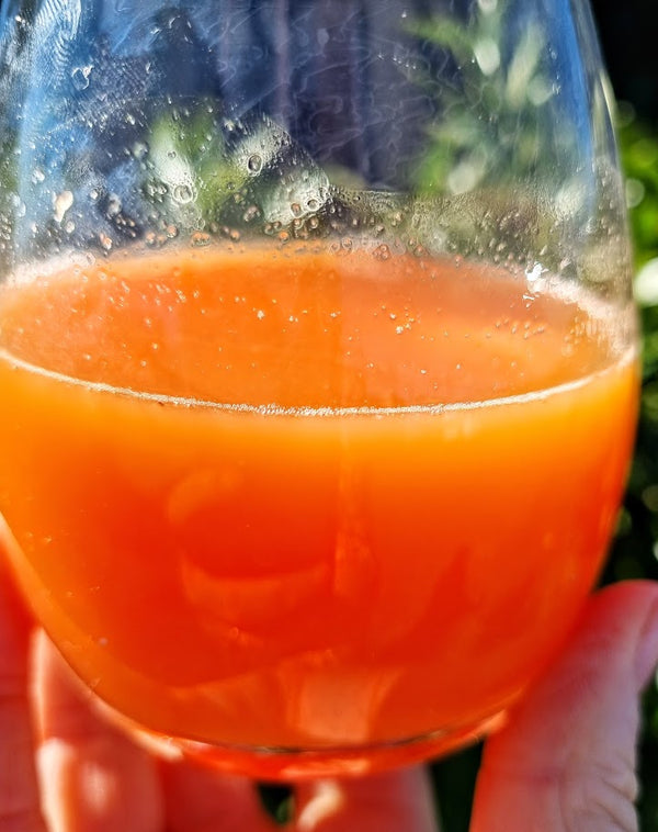 Tarocco Blood Orange Tree